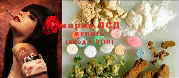 spice Аркадак