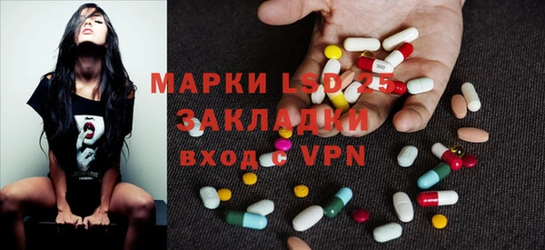 spice Аркадак