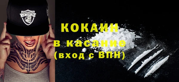 гидра Елизово
