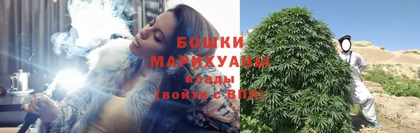 spice Аркадак