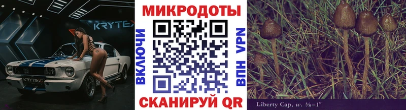 Псилоцибиновые грибы Psilocybine cubensis  мега ссылка  Старый Крым  как найти закладки 